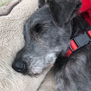 Meet your Posher, Arlene